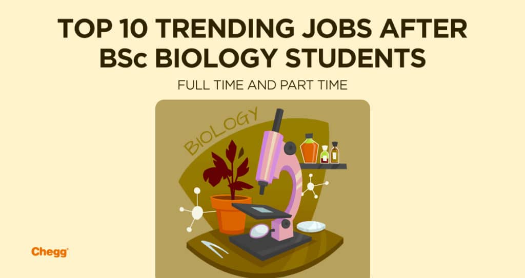 Jobs after B.Sc. Biology Students Full Time and Part Time
