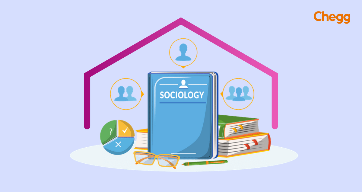 scope of sociology