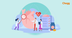 BSc Cardiology: 7 Brilliant Reasons to Choose This Course