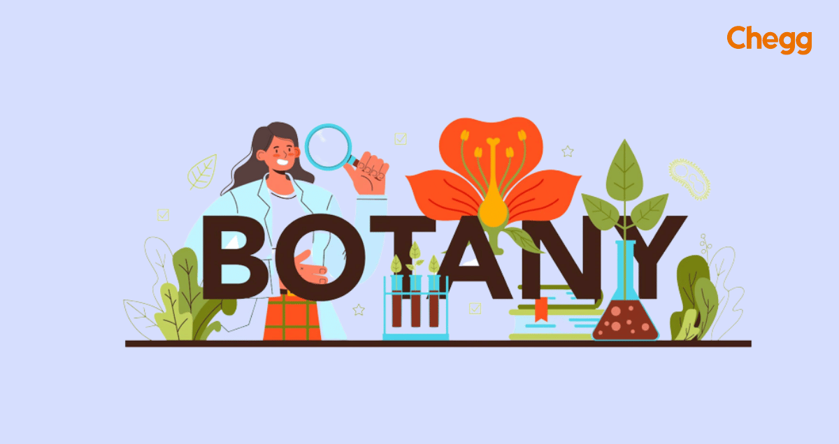 bsc botany