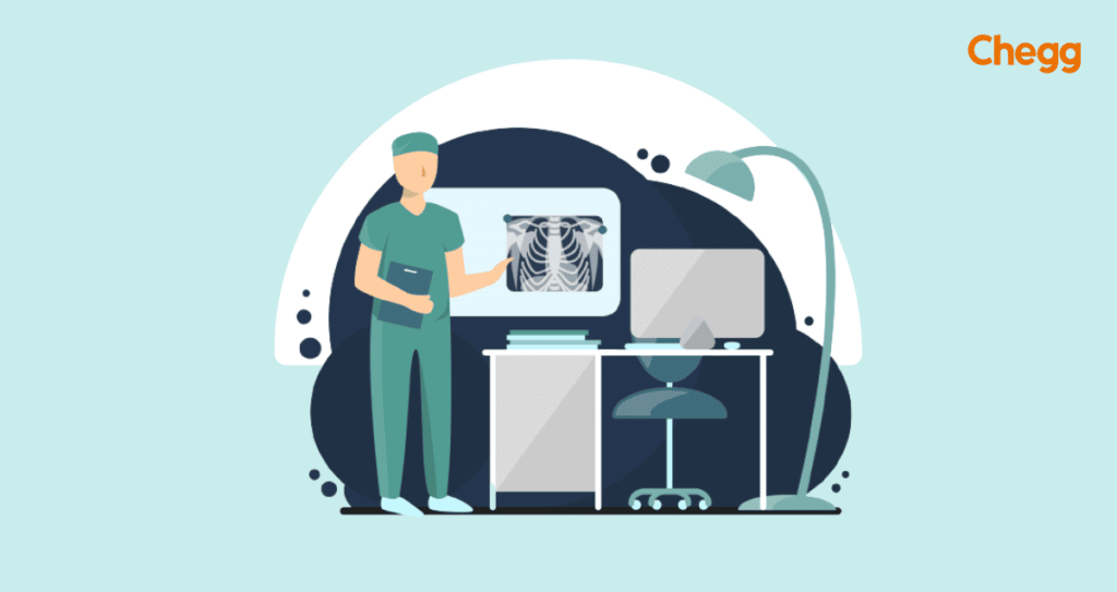 Bsc Radiology Degree step by step guide for 2024 an absolute read to