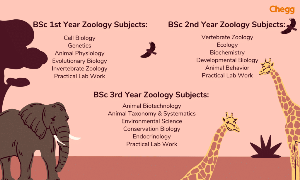 bsc zoology subjects