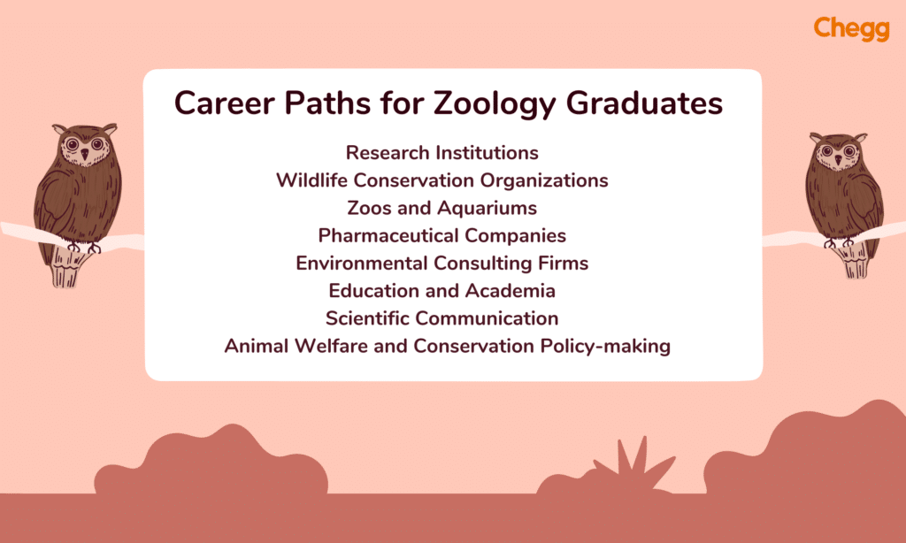 career paths for zoology graduates