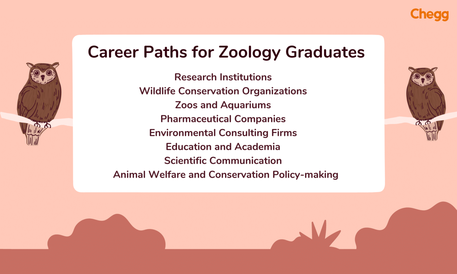 phd zoology jobs in india