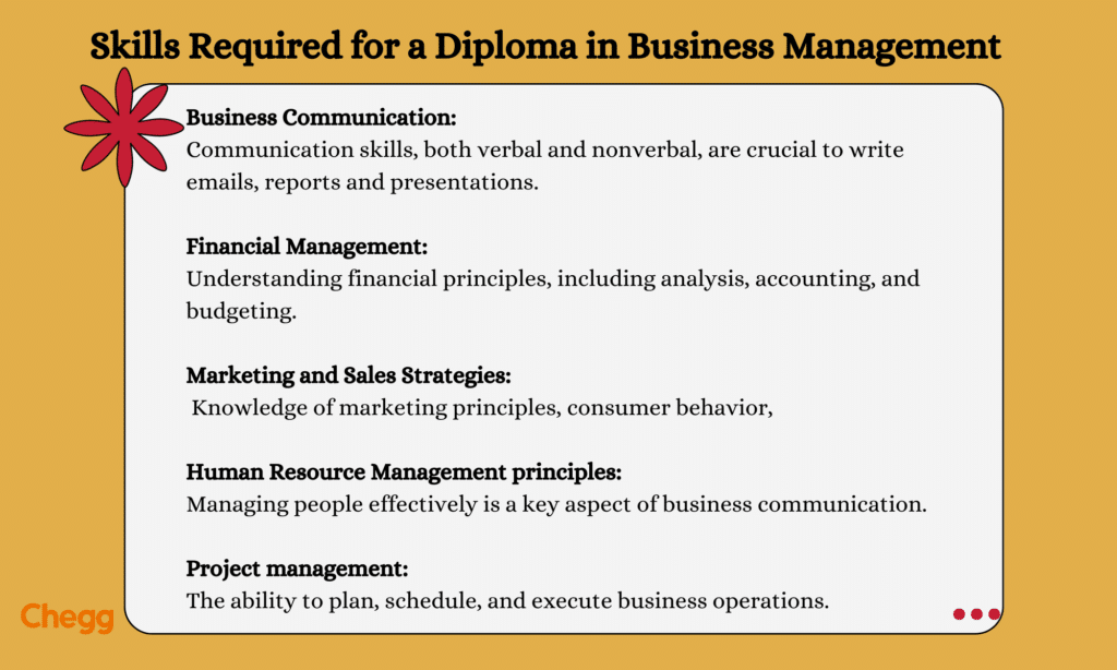 skills required for diploma in business management