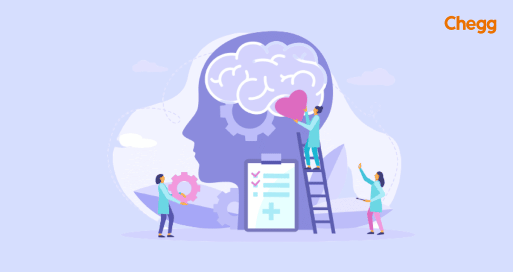 BSc Psychology A Complete Guide