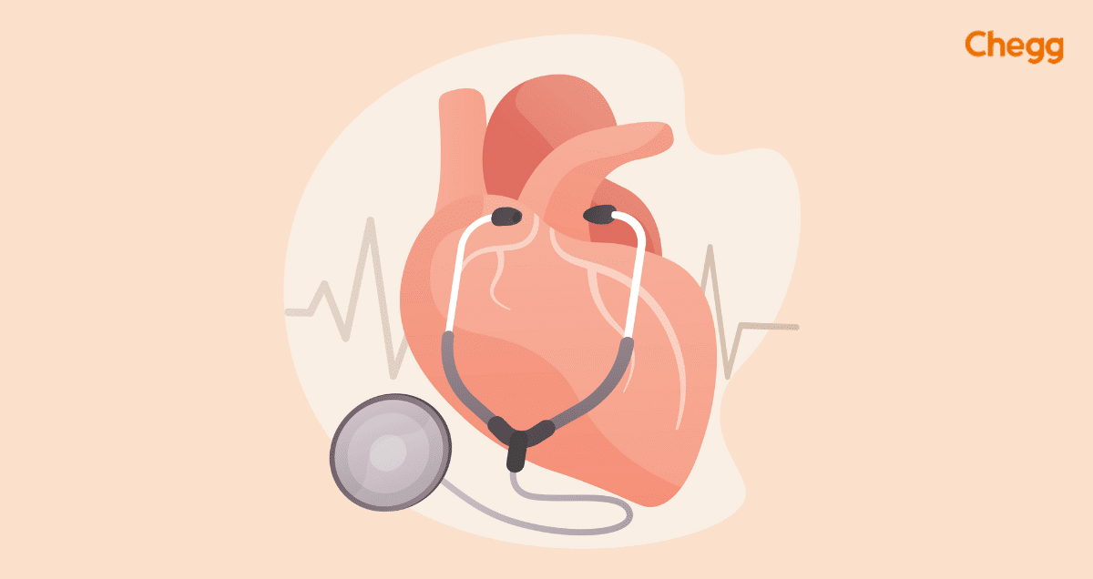 How To Become A Cardiologist In India-A Comprehensive Guide