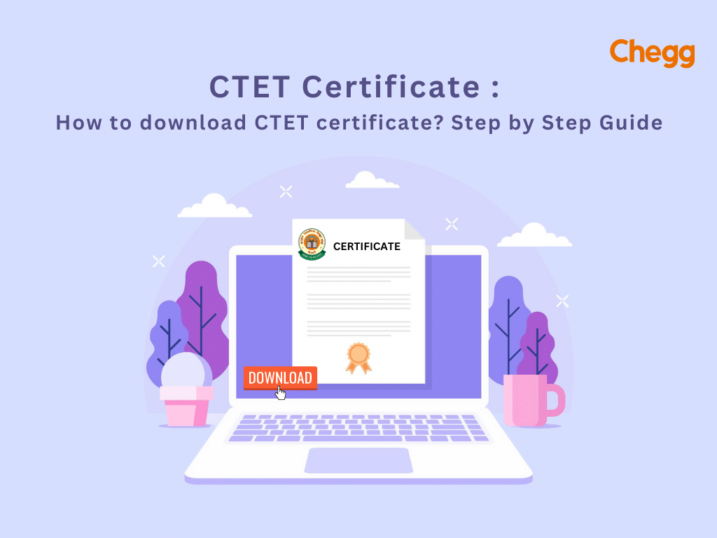 ctet certificate