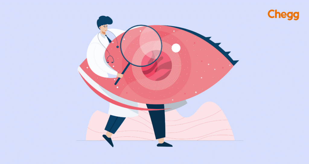 how to become an ophthalmologist