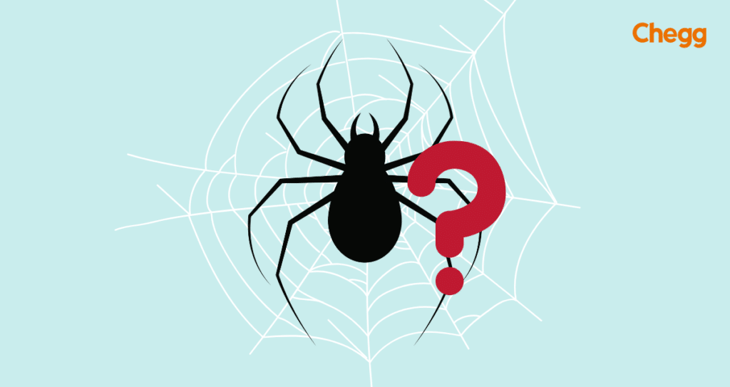 Are Spiders Insects? 3 Astonishing Facts about Spiders