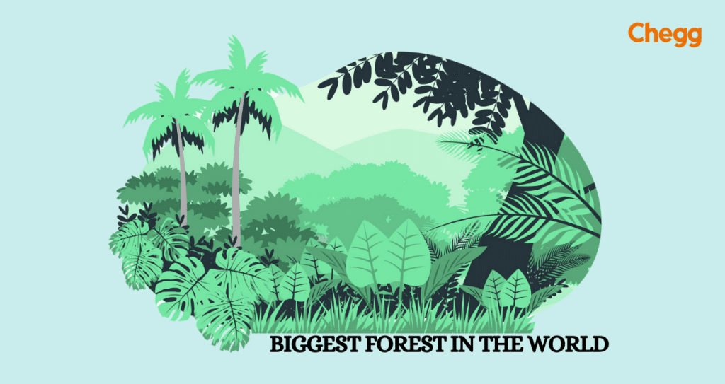 biggest forest in the world