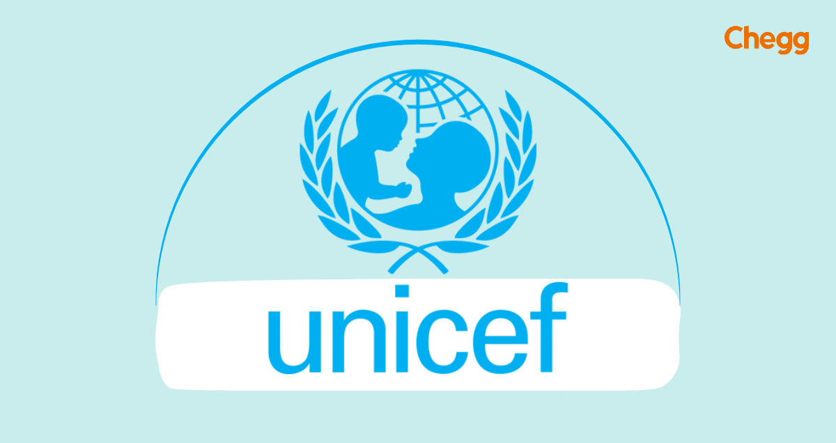 functions of unicef