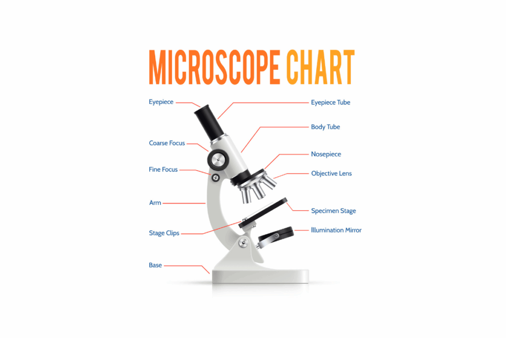 microscope diagram