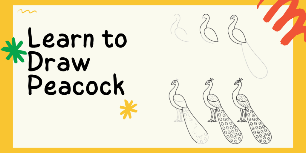 learn to draw peacock