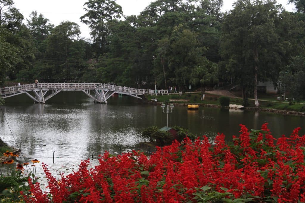 Government Botanical Garden, Shillong