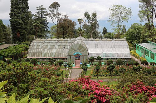 Lloyd’s Botanical Garden, Darjeeling
