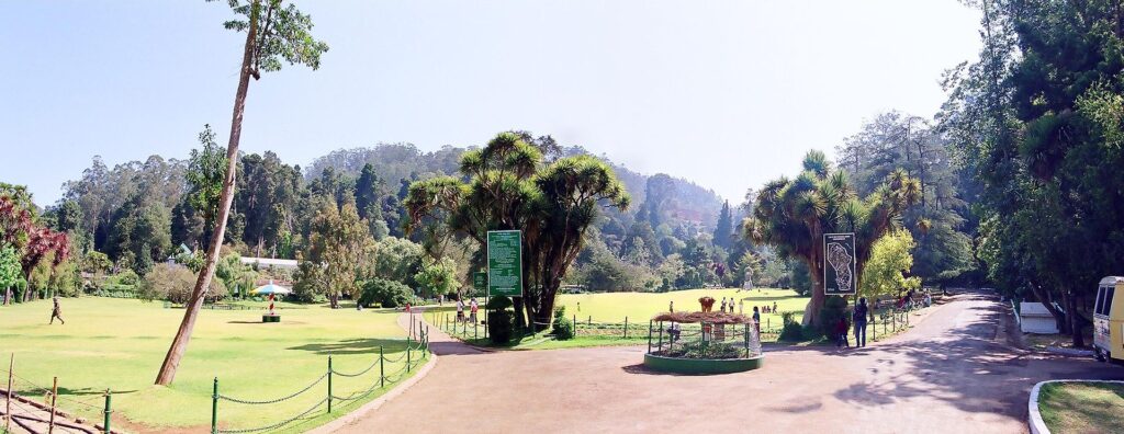 Government Botanical Garden, Ooty