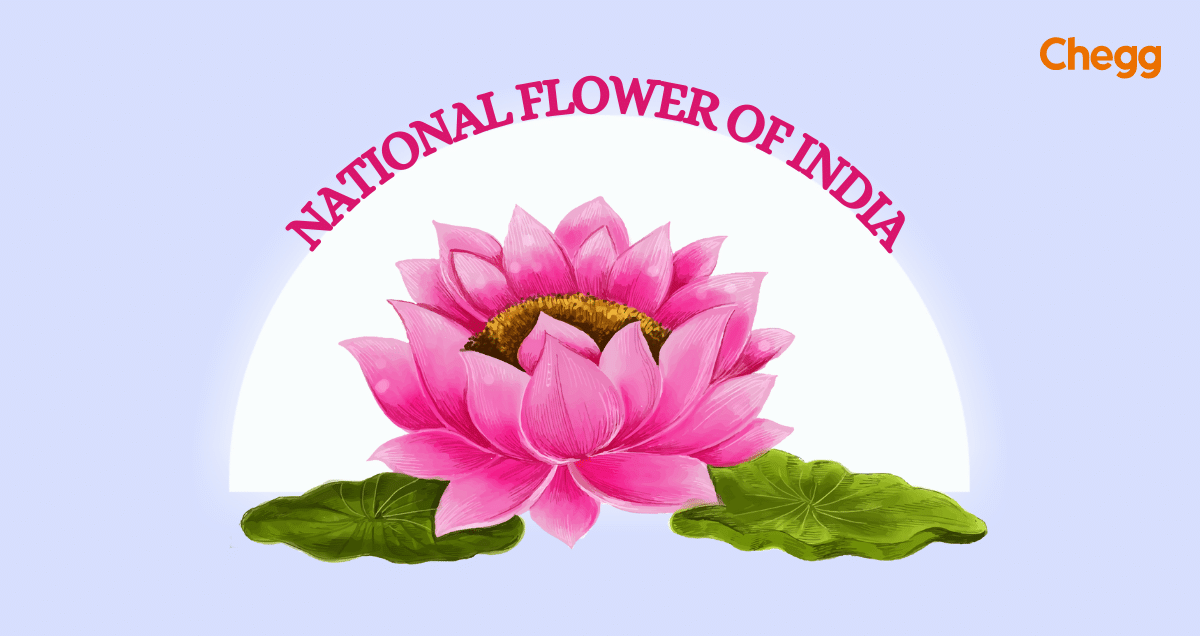 national flower of india