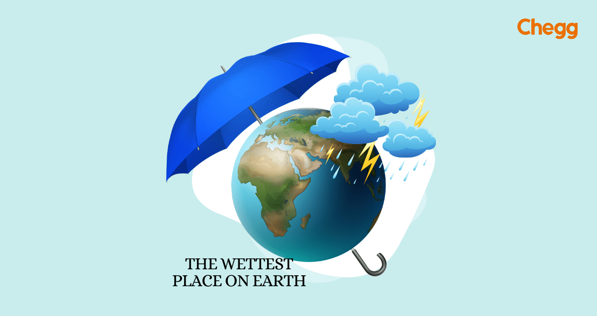 the wettest place on earth