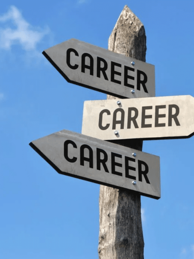 8 High-Income Career Options with Managerial Economics