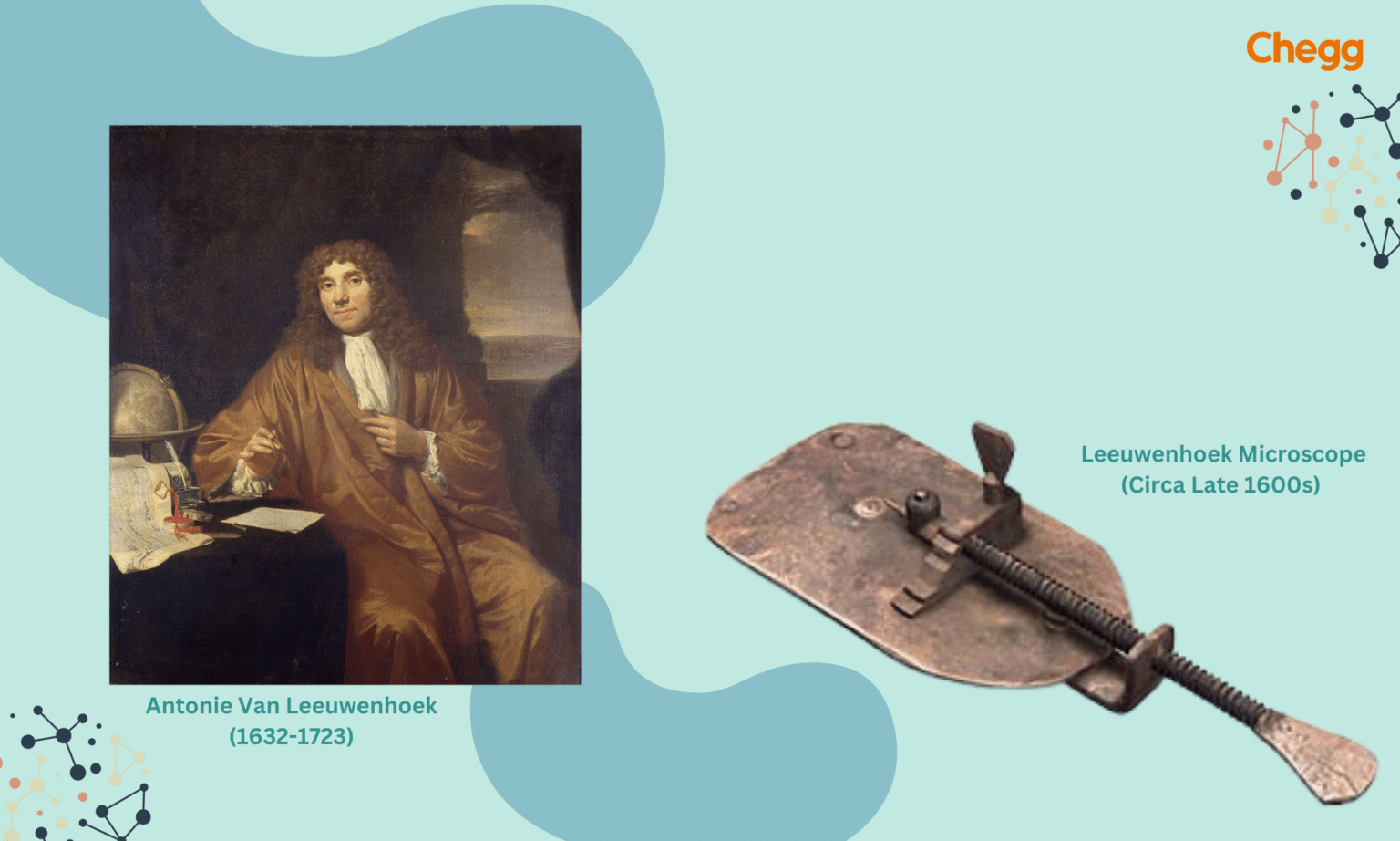 Who Discovered Microscope? 5 Incredible Breakthroughs