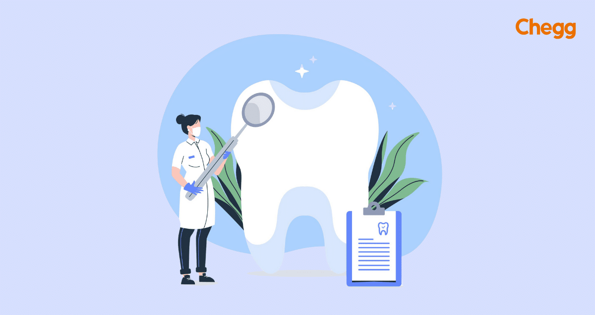 How To A Dentist Requirements, Career, Qualifications, Degree