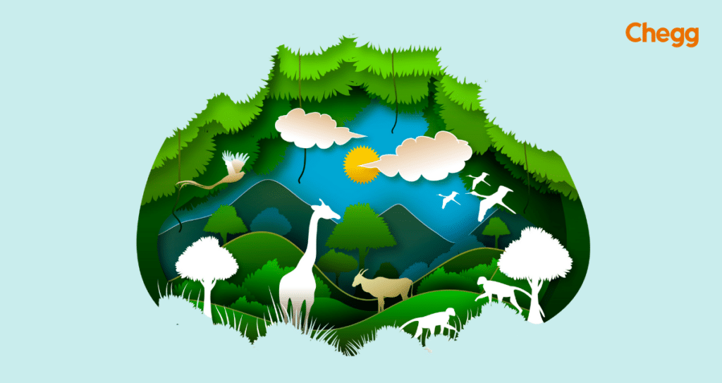 वन महोत्सव