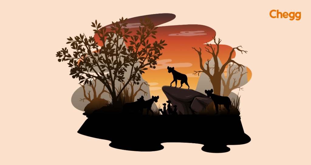 राष्ट्रीय उद्यान