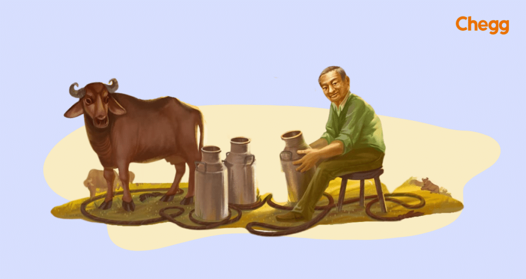 श्वेत क्रांति