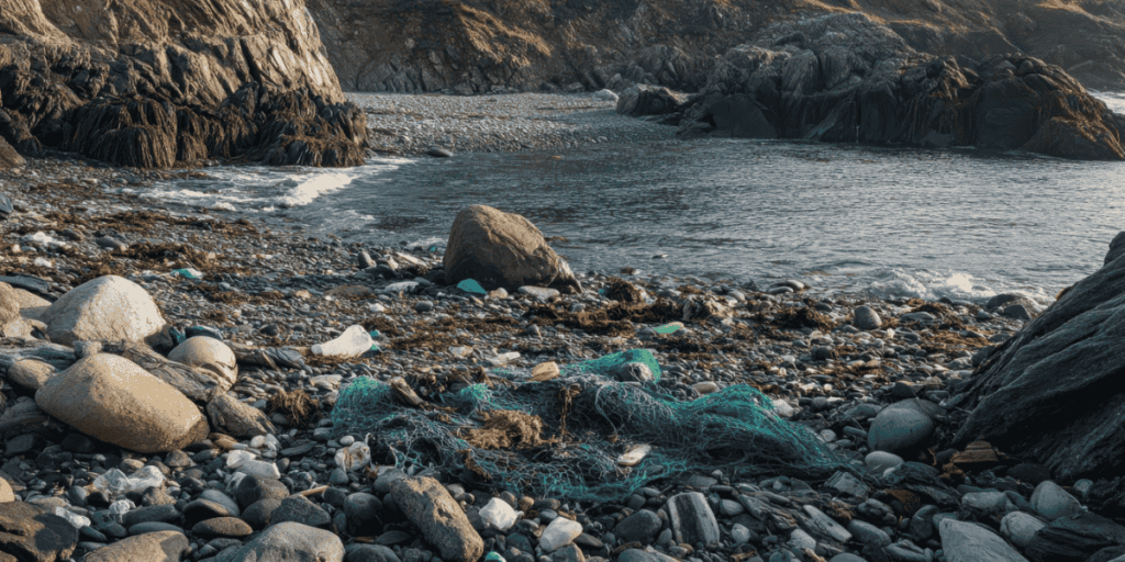 पर्यावरण प्रदुषण