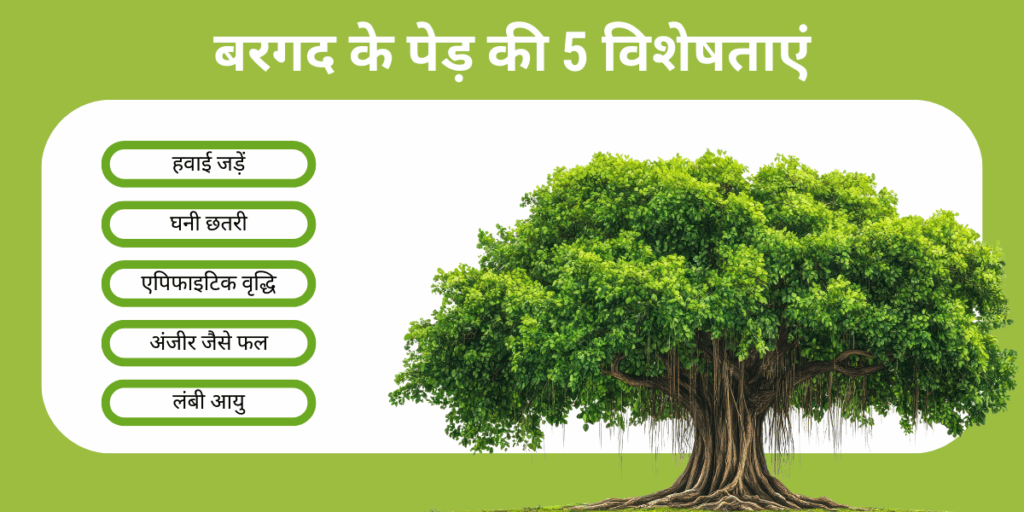 भारत का राष्ट्रीय वृक्ष