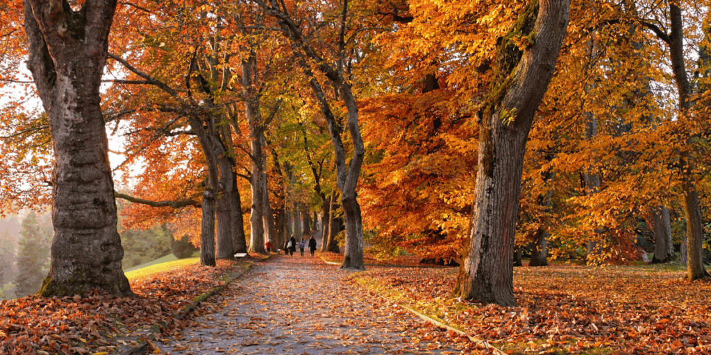 शरद ऋतु पर 10 वाक्य