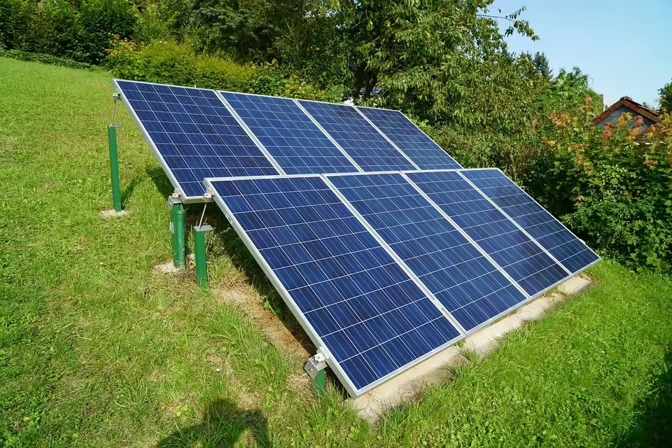 Bhadreshwar Solar Park, Gujarat 