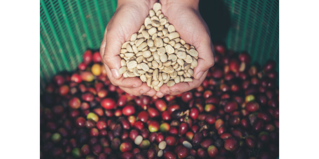 best coffee brands in india