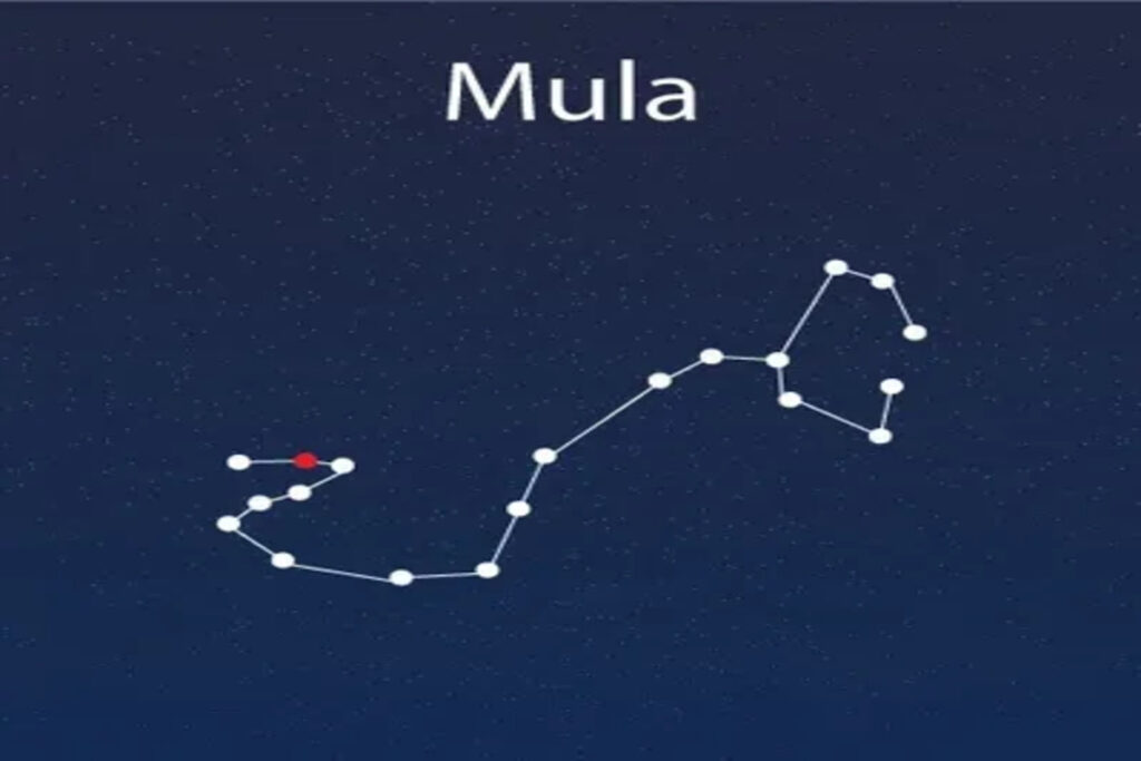 Mula