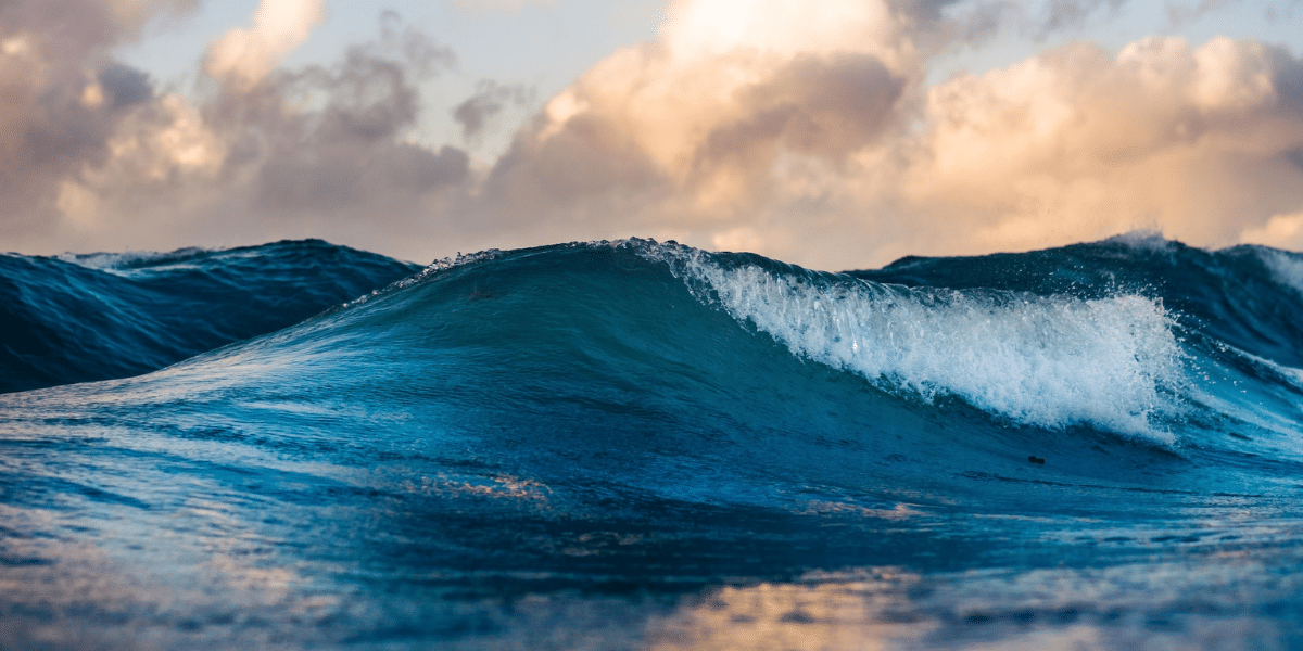 How many oceans are there in the world