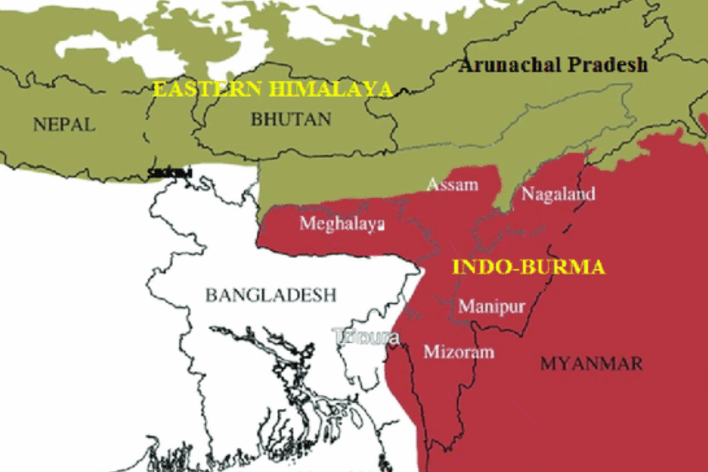 Himalaya Biodiversity Hotspot