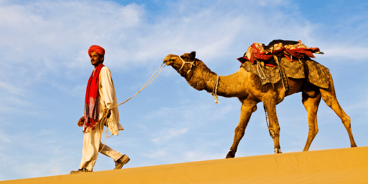 largest state of india