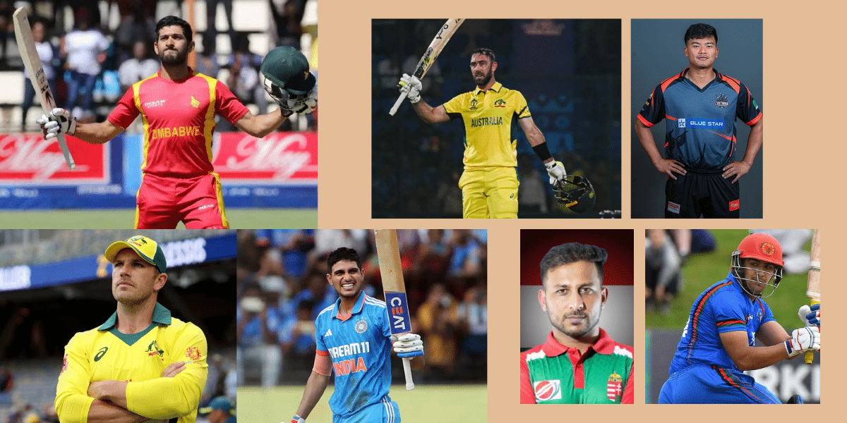 highest individual score in t20