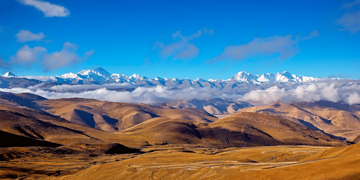 highest plateau in the world