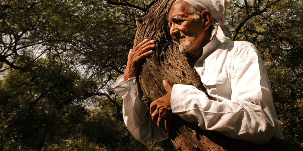 chipko movement