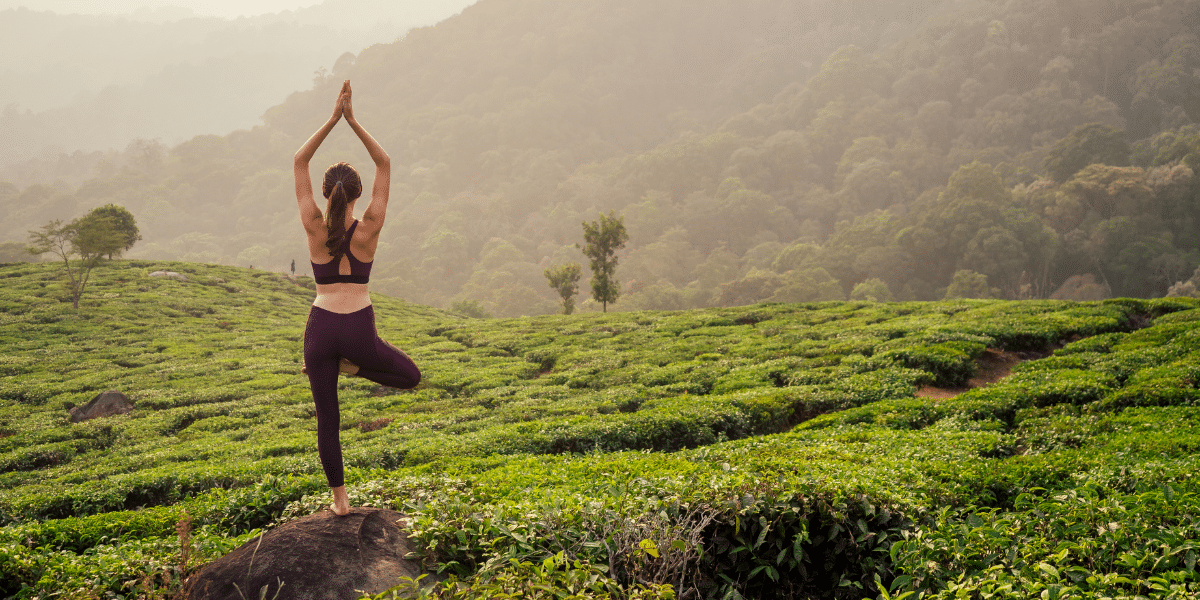 international yoga day