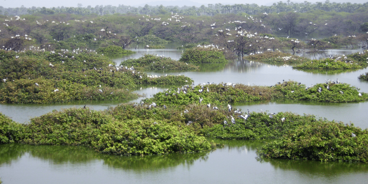 Ramsar sites in India
