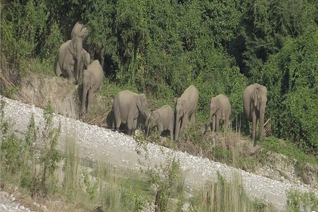 Shikna Jwhwlao National Park