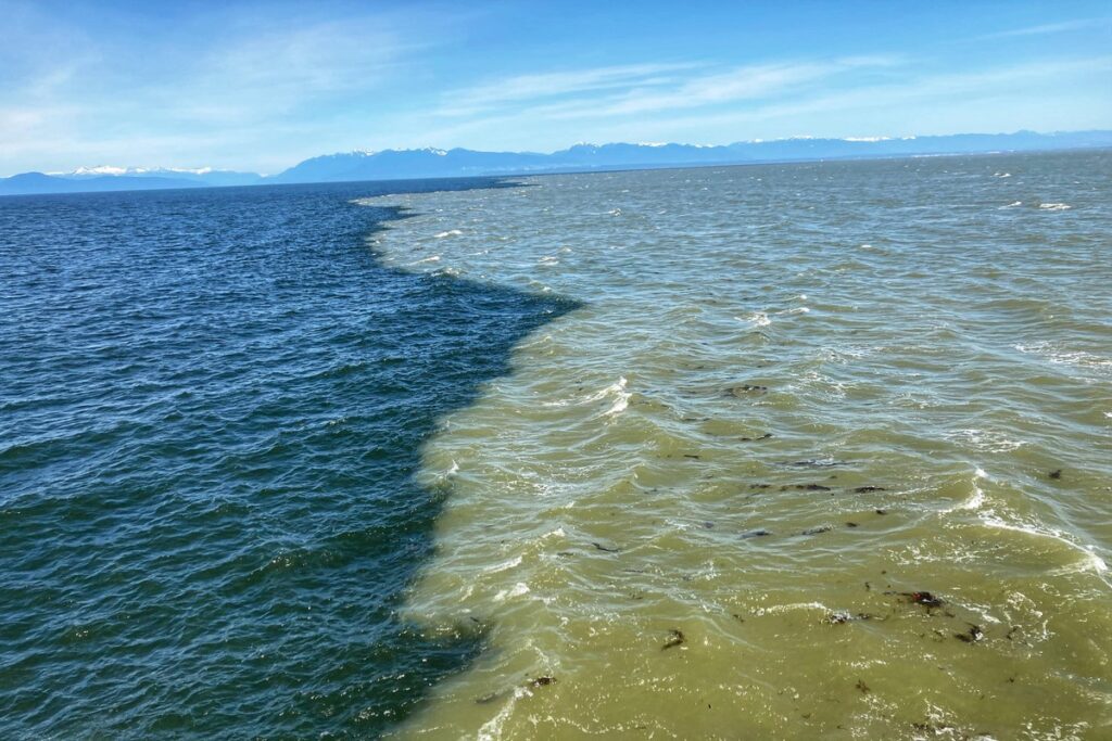 river meets ocean