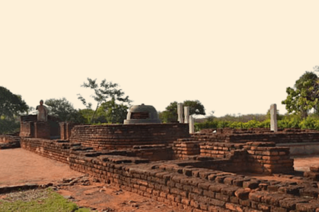 Nagarjuna University