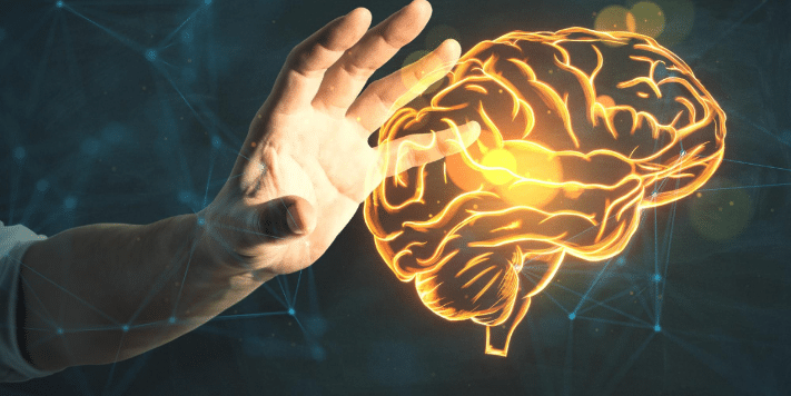 Psychology Facts About Human Behavior