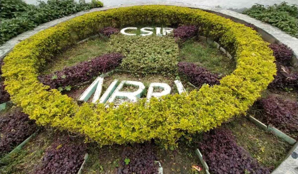 National Botanical Research Institute (NBRI), Lucknow